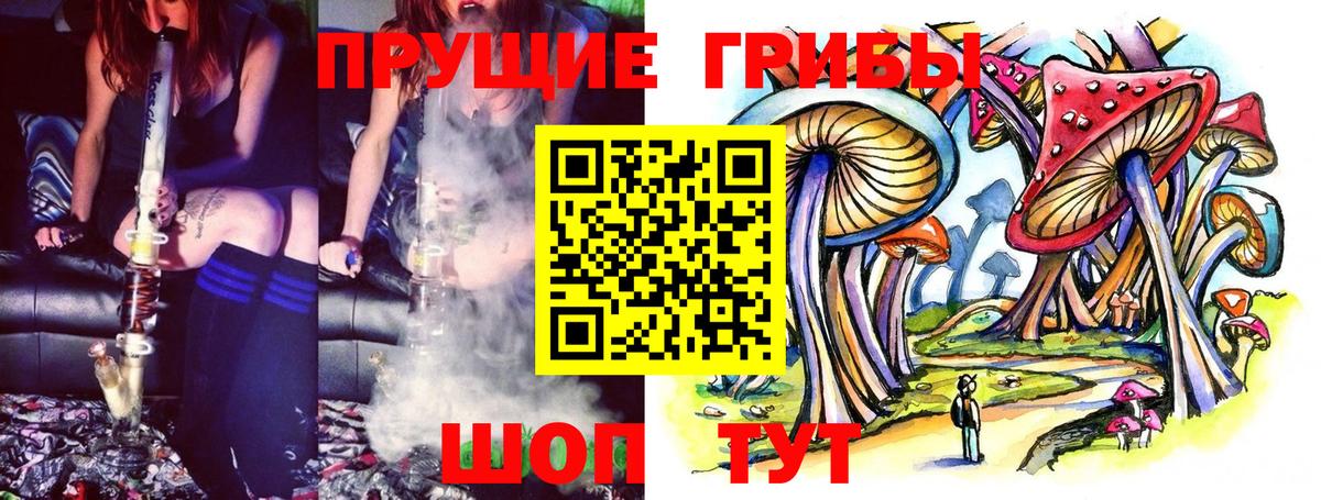 Красногорск  Псилоцибиновые грибы ЛСД  Псилоцибиновые грибы Cubensis  Вход с VPN 